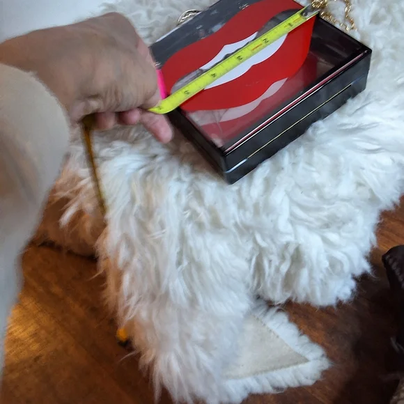 Acrylic Lip Clutch Bag Red Lips Pop Art Crossbody Gold Chain Statement Novelty P - Picture 7 of 9